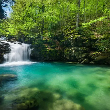 Διαμέρισμα Rincon Del Pueyo By Bevalle *